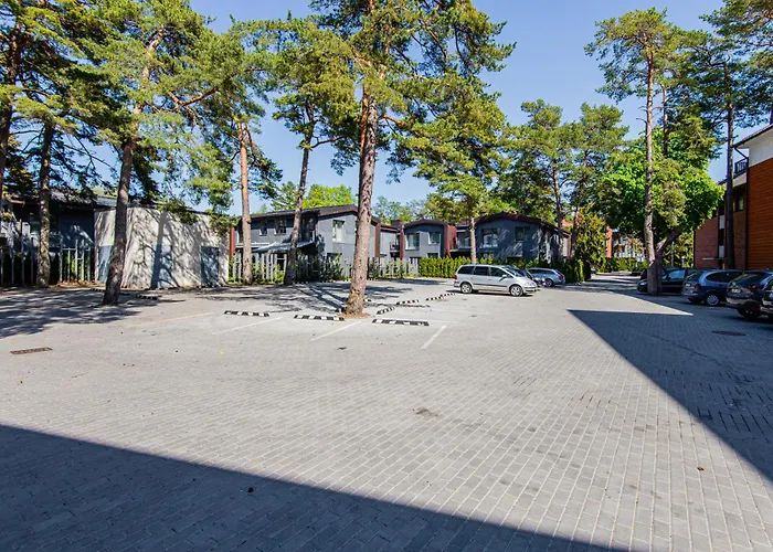 Zuvedra Паланга